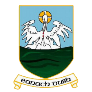 Home logo