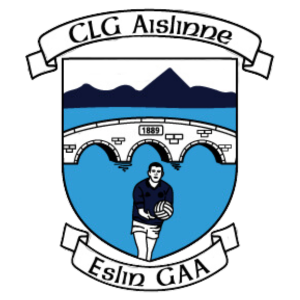 Home logo