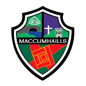 Home logo