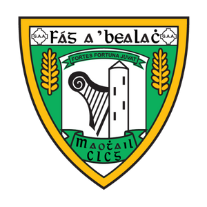 Home logo