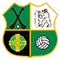 Home logo